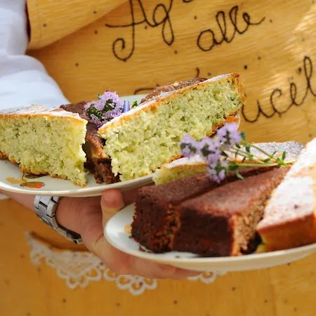 Alle Torricelle Farm stay *