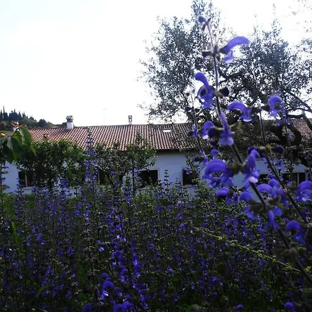 Lantgård Alle Torricelle
