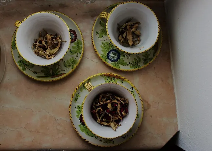 アグリツーリズモ アッレ トリチェリ ファームステイ *