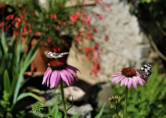 アグリツーリズモ アッレ トリチェリ ファームステイ *