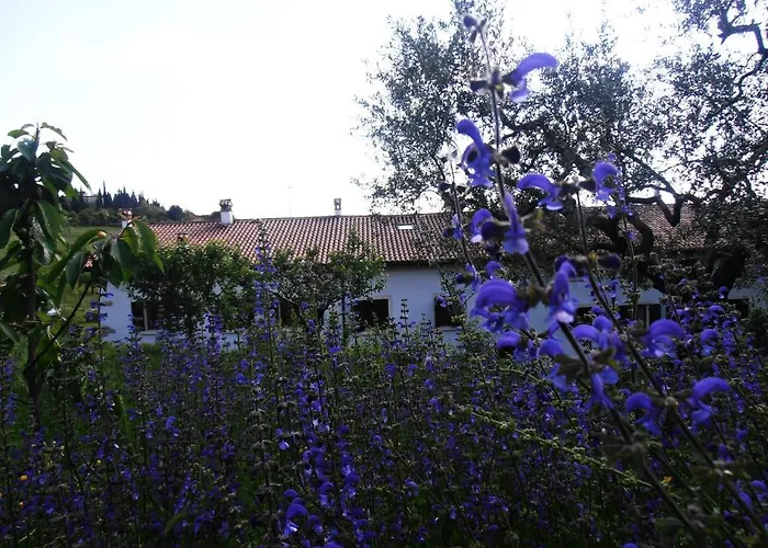 ファームステイ アグリツーリズモ アッレ トリチェリ